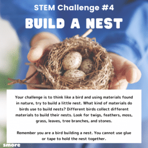 Build A Birds' Nest Activity: Summer STEM Challenge - Smore Science