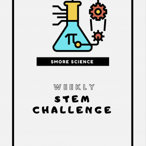 Stem Activity Challenge