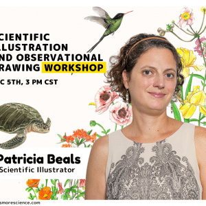 Scientific Drawing Workshop for Kids