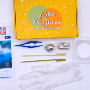 Owl Pellet Dissection Kits