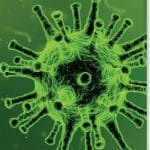 Microbes