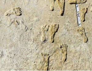 Footprints