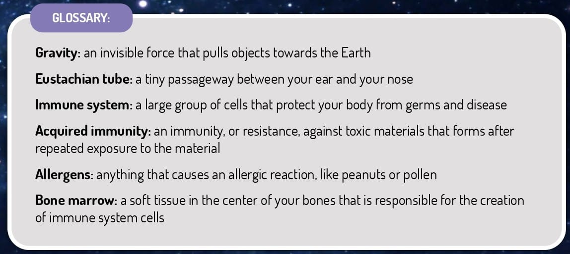 Glossary