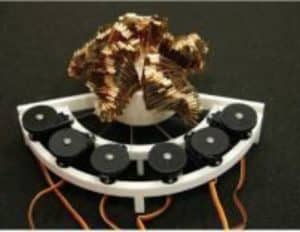 Starfish Robot
