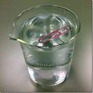 paper clip surface tension
