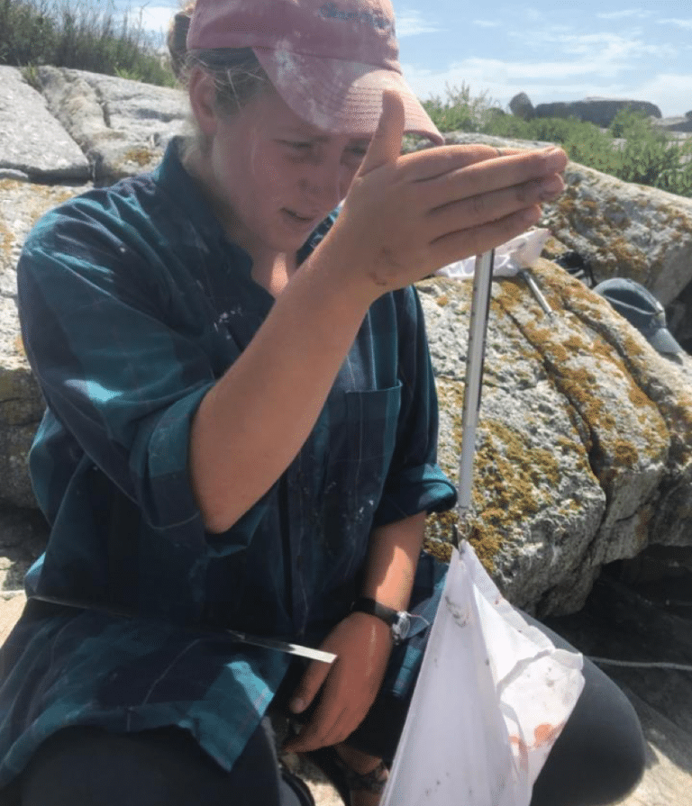 Data Collection