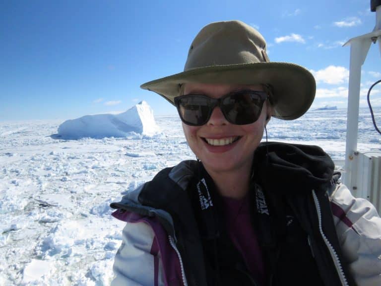 Summer in Antarctica