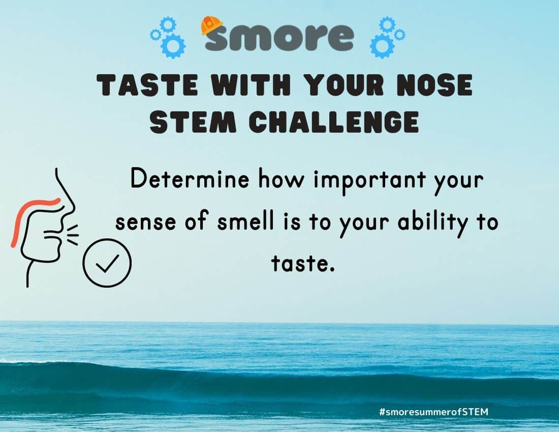 Taste with your nose stem challenge