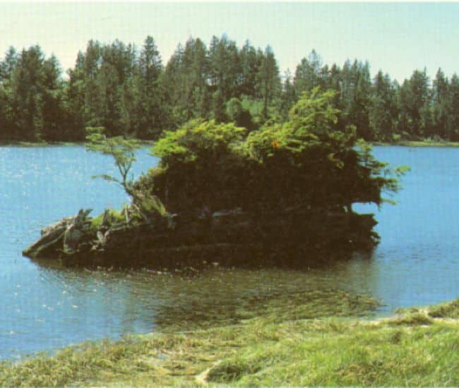 log