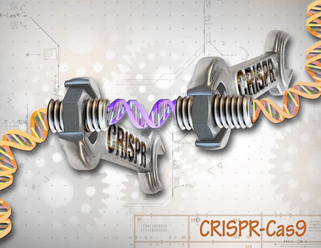 Editing Our DNA to Cure Disease