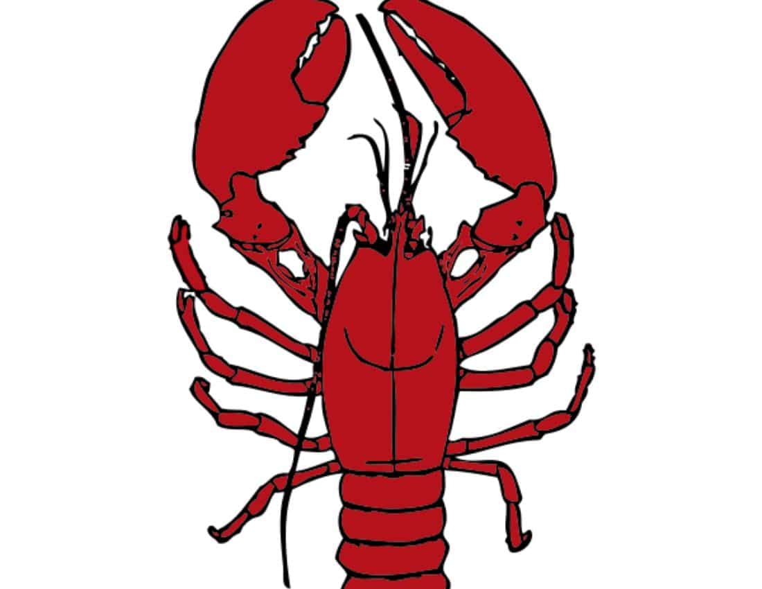 Lobster