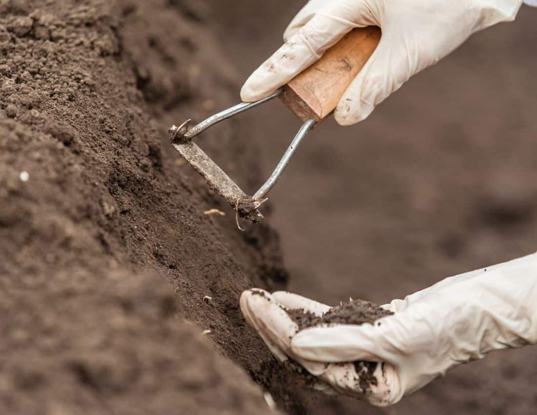 bacteria soil dna sequencing