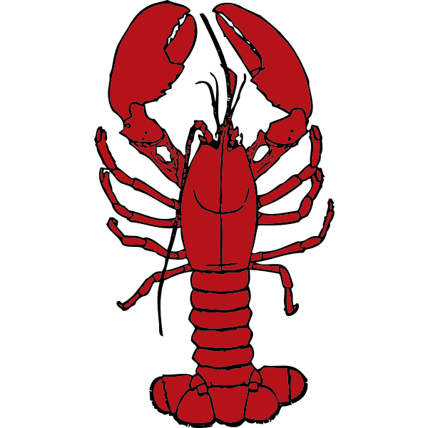 Lobster Turn Red
