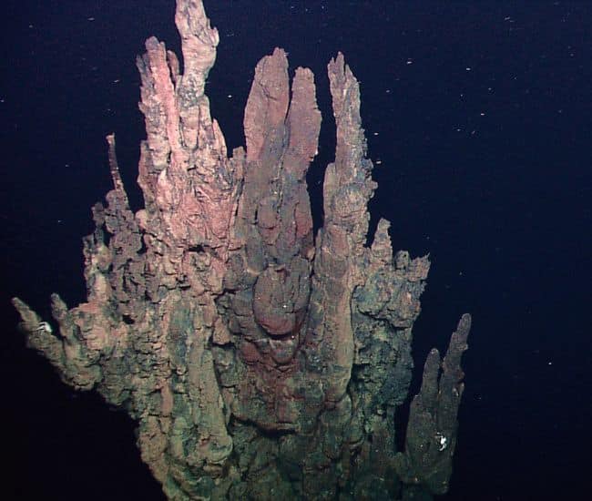 Inactive hydrothermal vents, Galapagos Rift