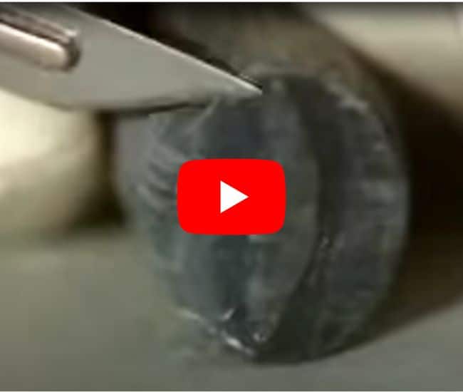 The Alkali Metals