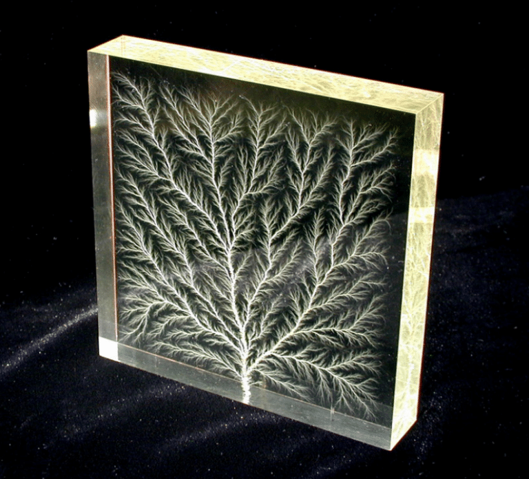 The high voltage breakdown of plexiglass creates beautiful fractal patterns called Lichtenberg figures