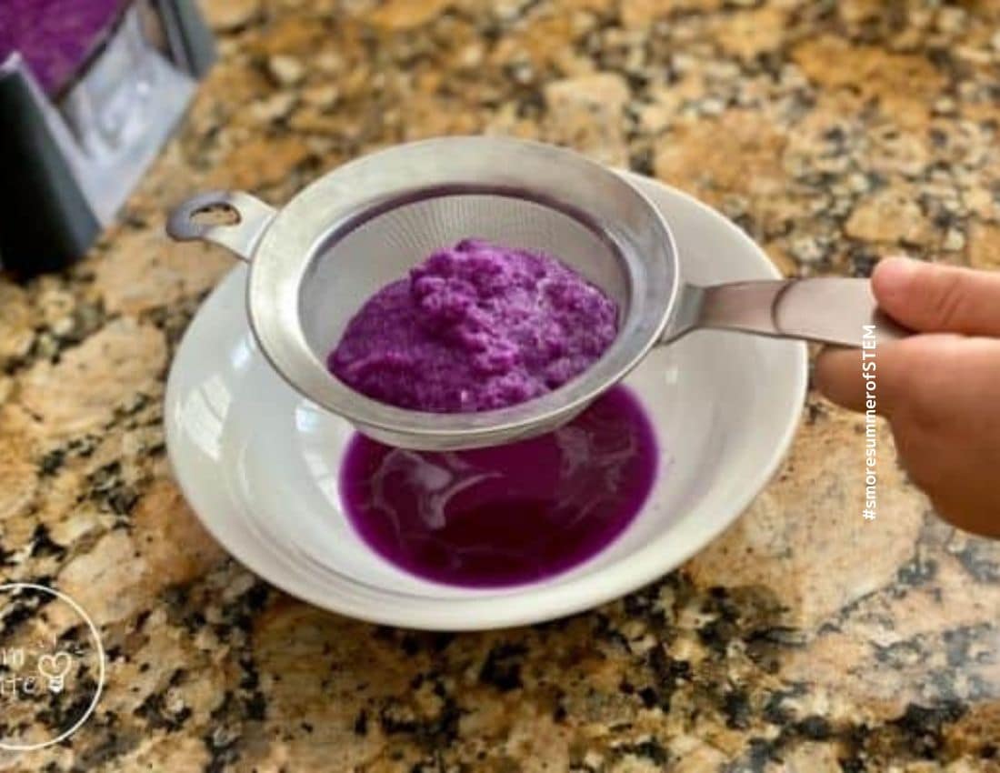 Red cabbage indicator