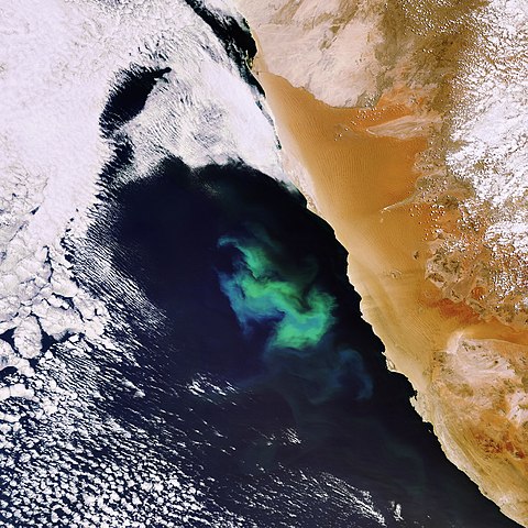 A satellite image of the ocean off the coast of Namibia