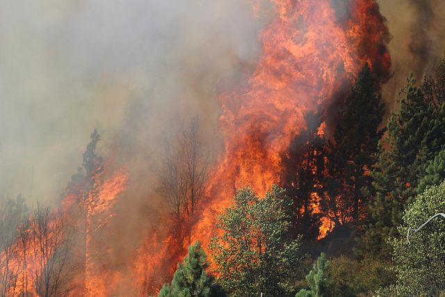 The Rim Fire in the Stanislaus National Forest in California began on Aug. 17, 2013