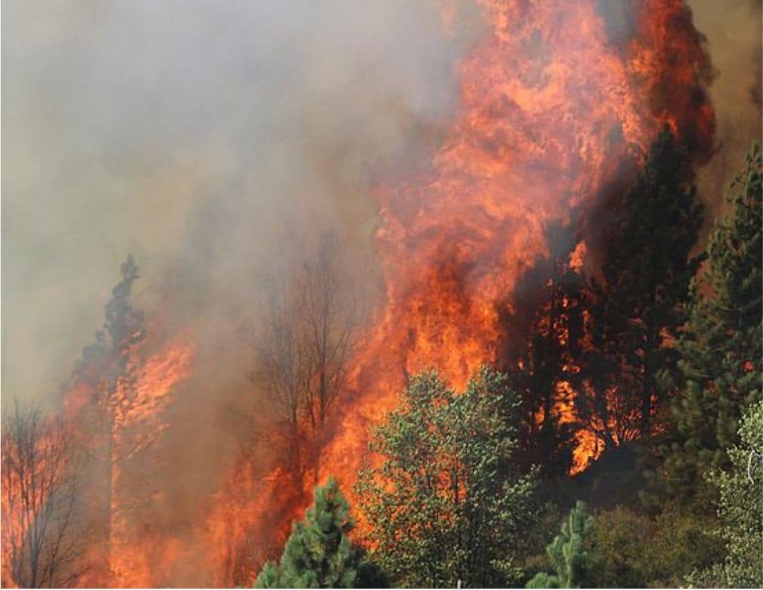The Rim Fire in the Stanislaus National Forest in California began on Aug. 17, 2013