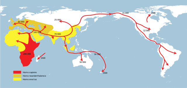 Out of Africa: early expansions of our ancestors