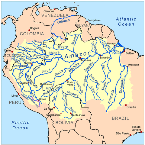 The Amazon River Basin