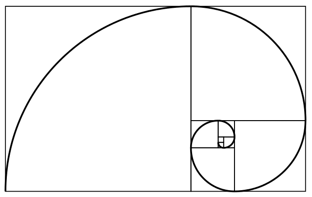 The spiral dictated by the famous Fibonacci sequence
