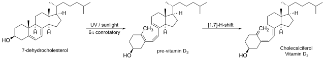 Vitamin D synthesis process. Licence: CC