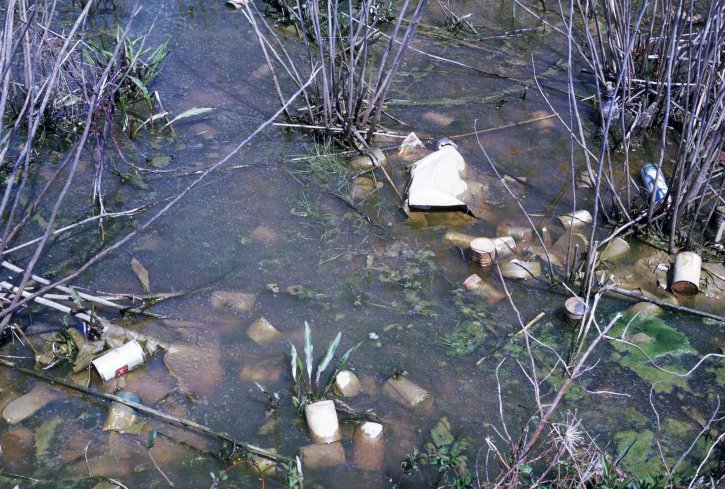 Water Pollution