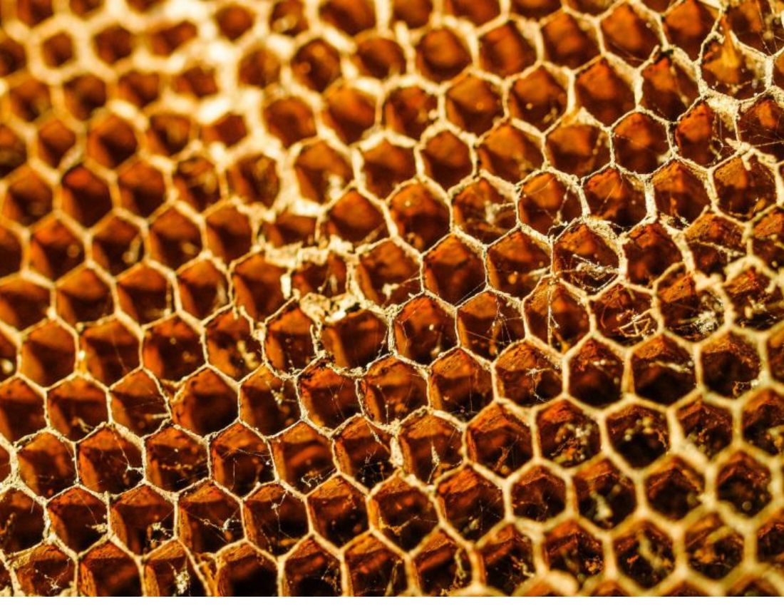 The regular, repeating pattern of hexagons