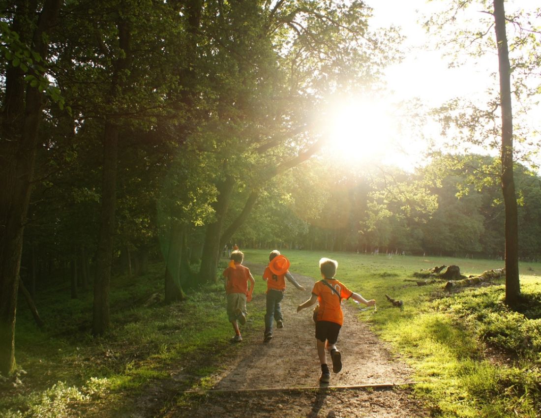 Kids running in forest