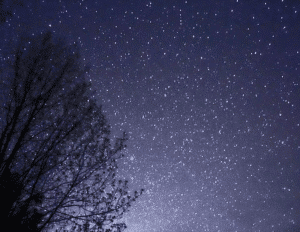 Night sky filled with stars
