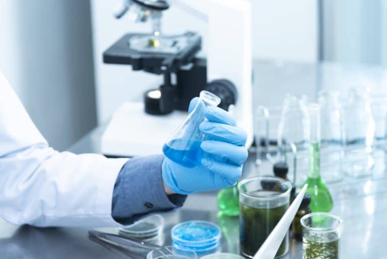 Photobioreactor in lab algae fuel biofuel industry. Algae fuel
