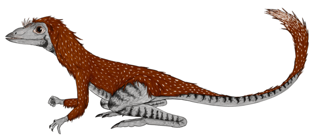Kongonaphon kely drawing