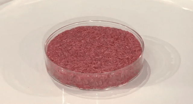 World’s first cultured hamburger