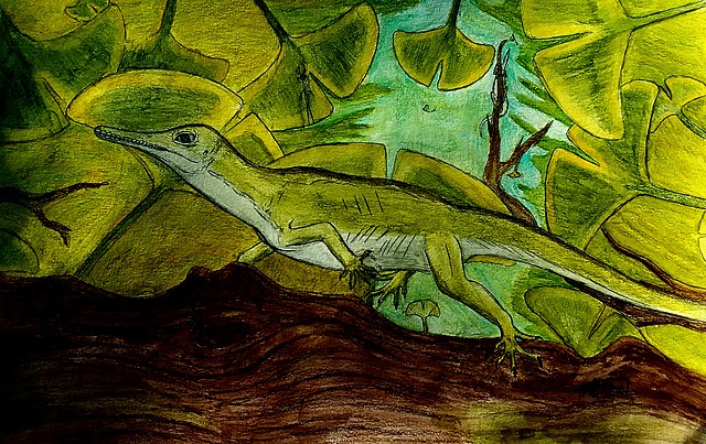 Oculudentavis khaungraae drawing