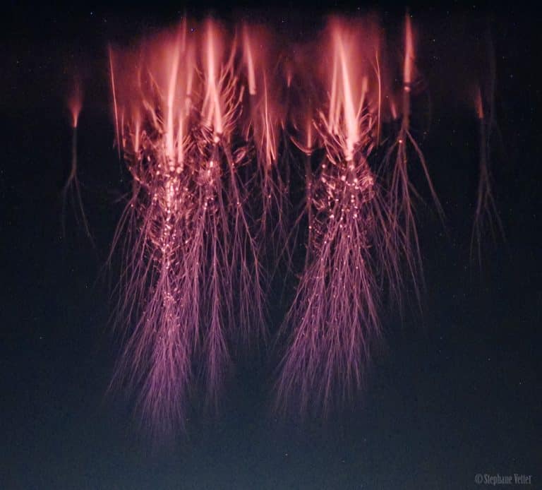 Sprites are rarely captured on camera, but they are certainly photogenic