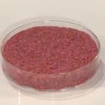 World’s first cultured hamburger