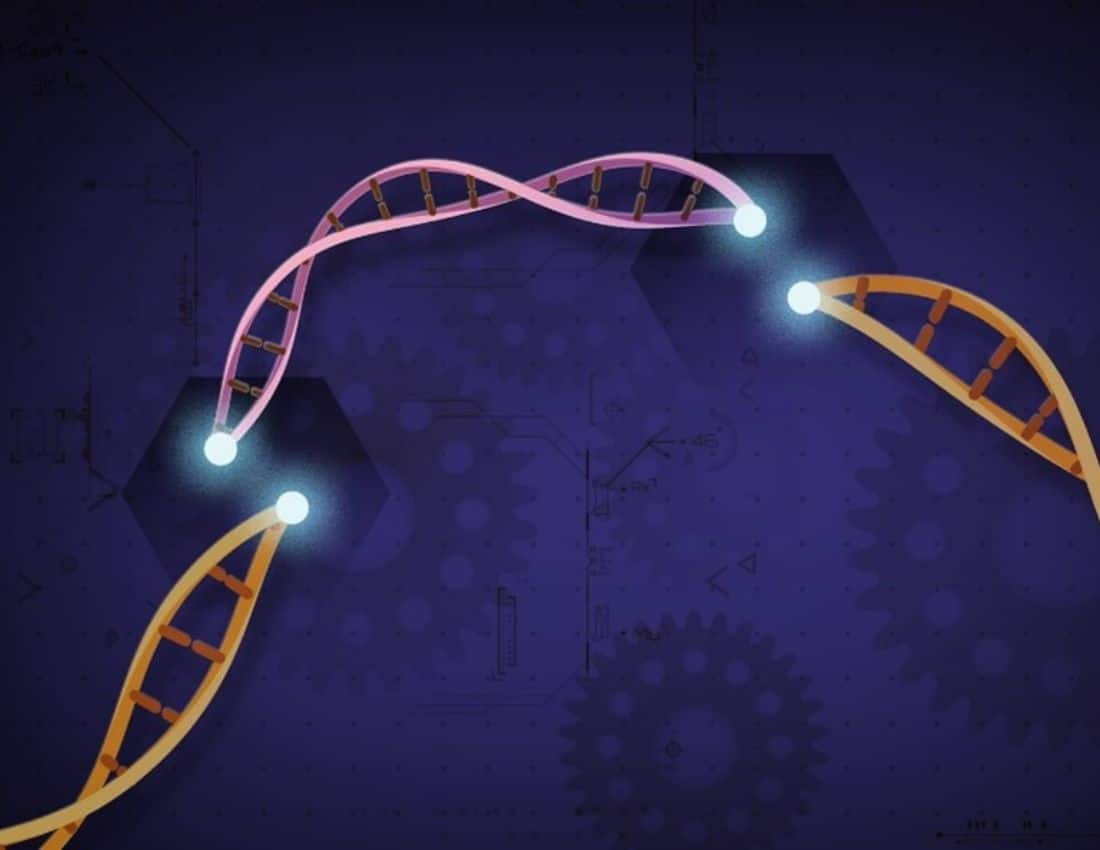 CRISPR