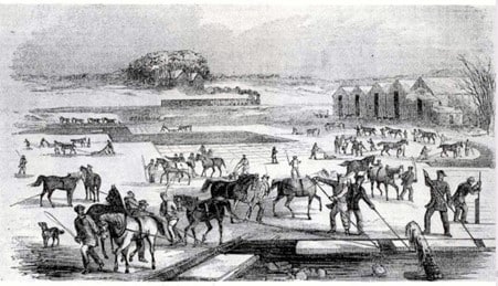 Ice harvesting