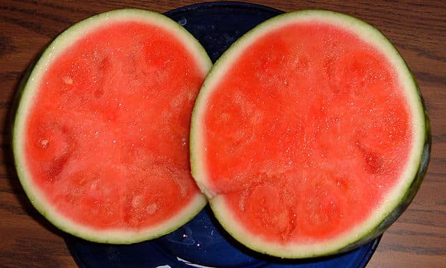 A seedless watermelon as an example of parthenocarpy.