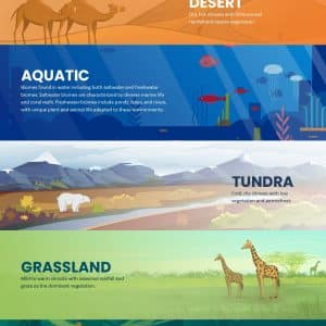 Biomes-Poster