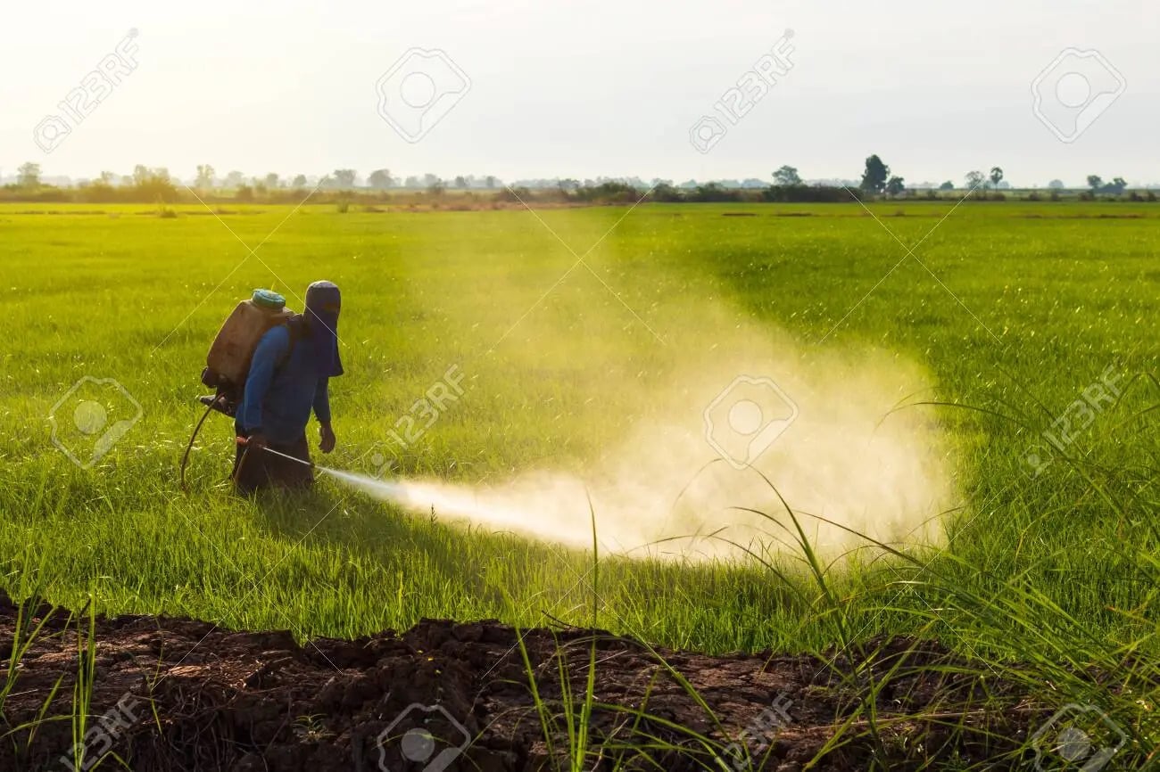 thai-farmer-wore-a-blue-t-shirt-with-a-cloth-covering-the-face-spraying-herbicides-on-a-green