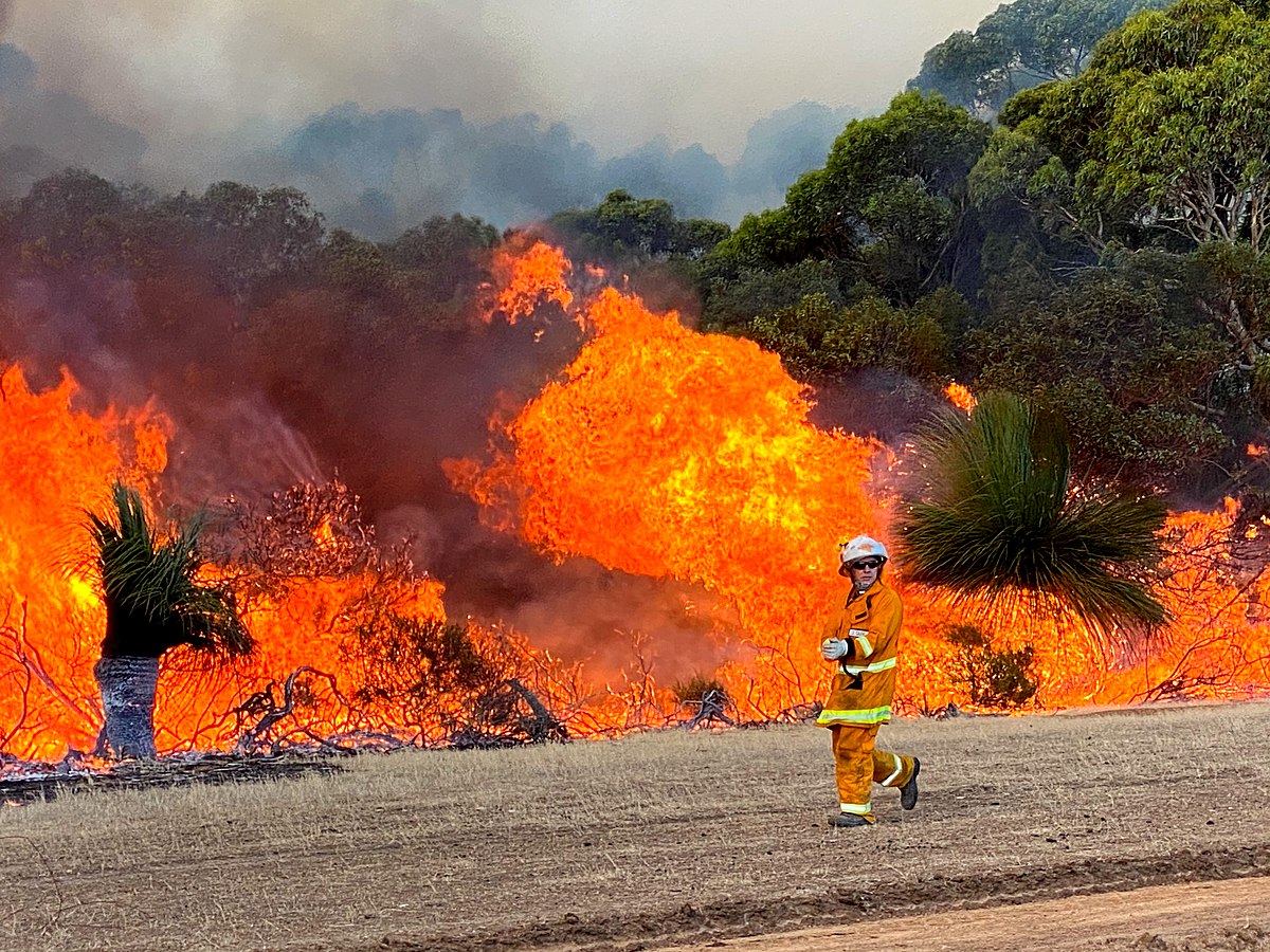 A bushfire in Australia