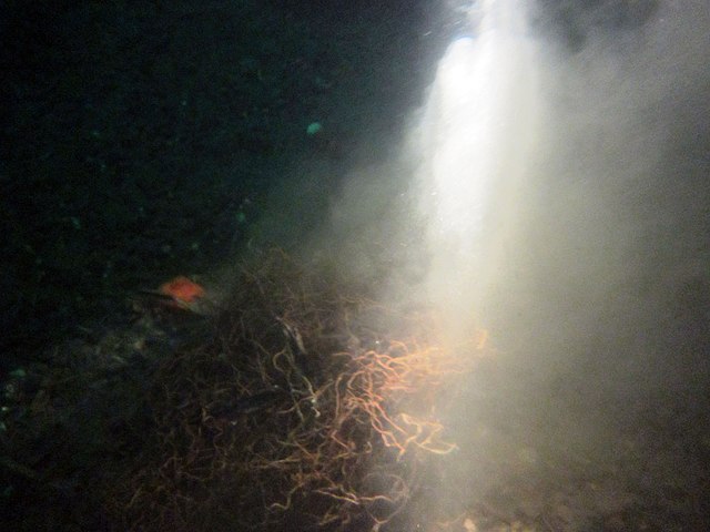 Not all waters are clear; for instance, this photo illustrates how hard it is to see under murky waters