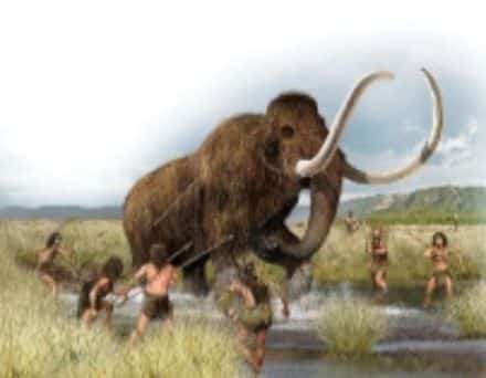 woolly mammoth
