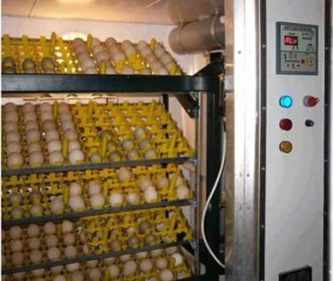 incubator