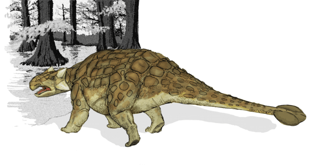 Ankylosaurus_dinosaur