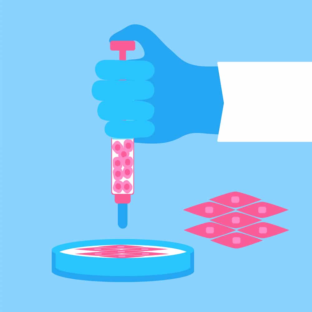Making an organ in a Petri dish