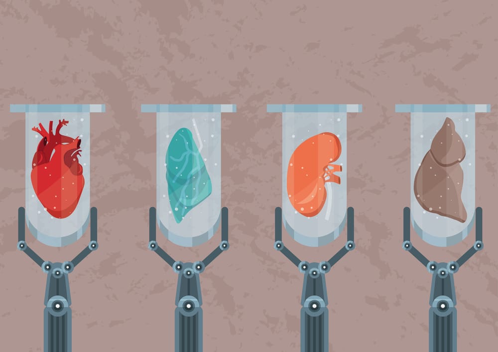Growing mini organs in the lab